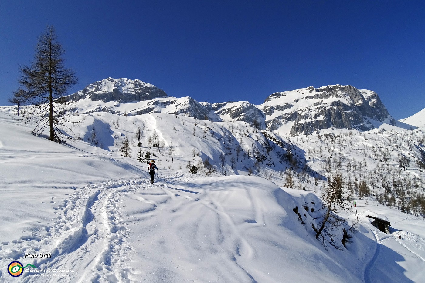 34 Baita di Malga Conchetta (1792 m) con vista in Ferrante .JPG -                                